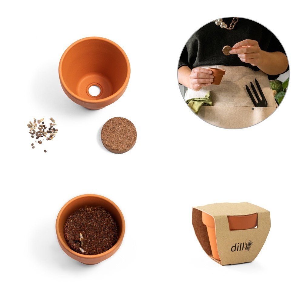 ANETHUM. Vaso in terracotta con semi di aneto - 96127