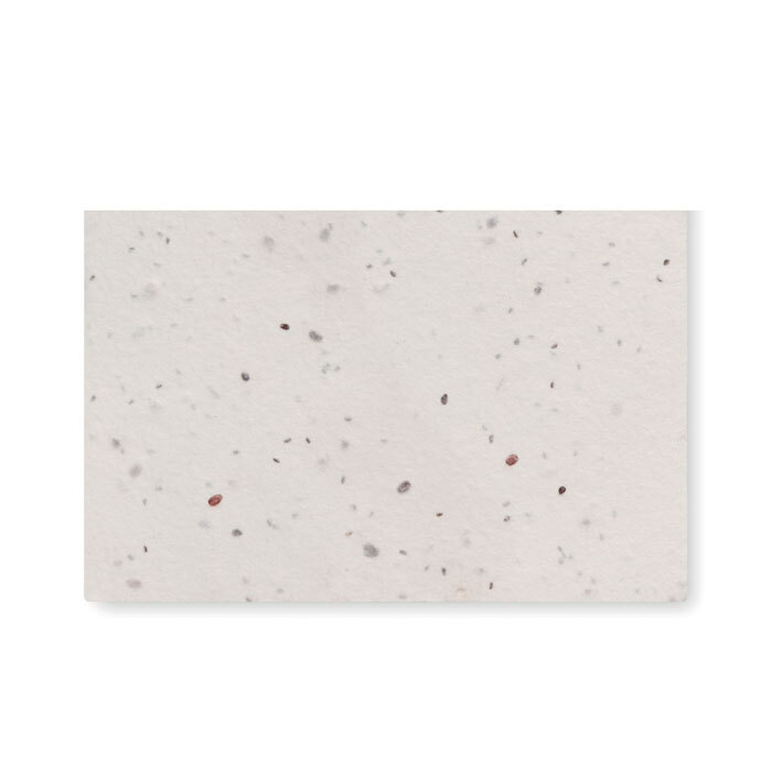 ASIDA. Biglietto da visita con semi di - MO2993