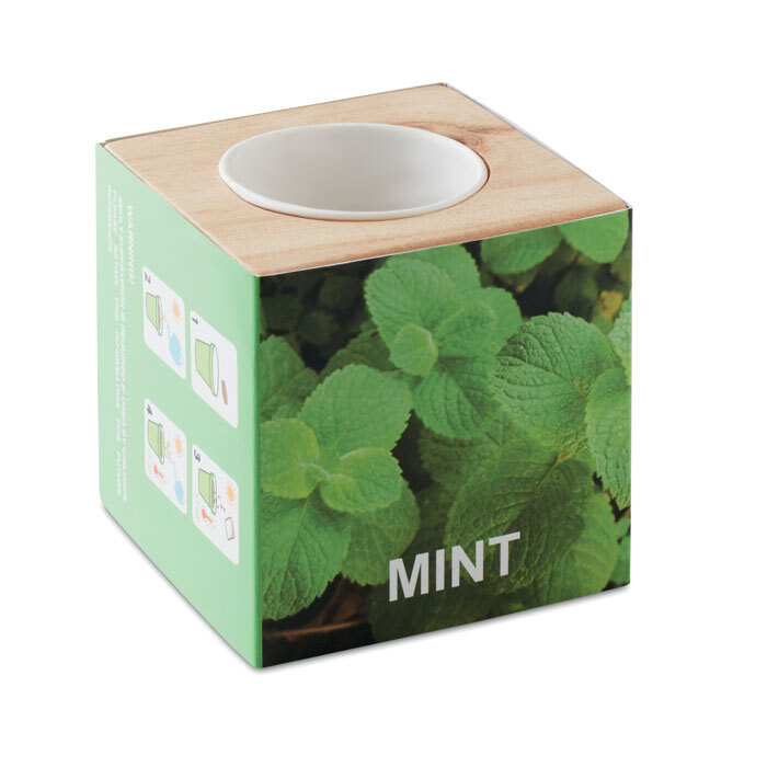 MENTA. Mini vaso in legno - MO9337