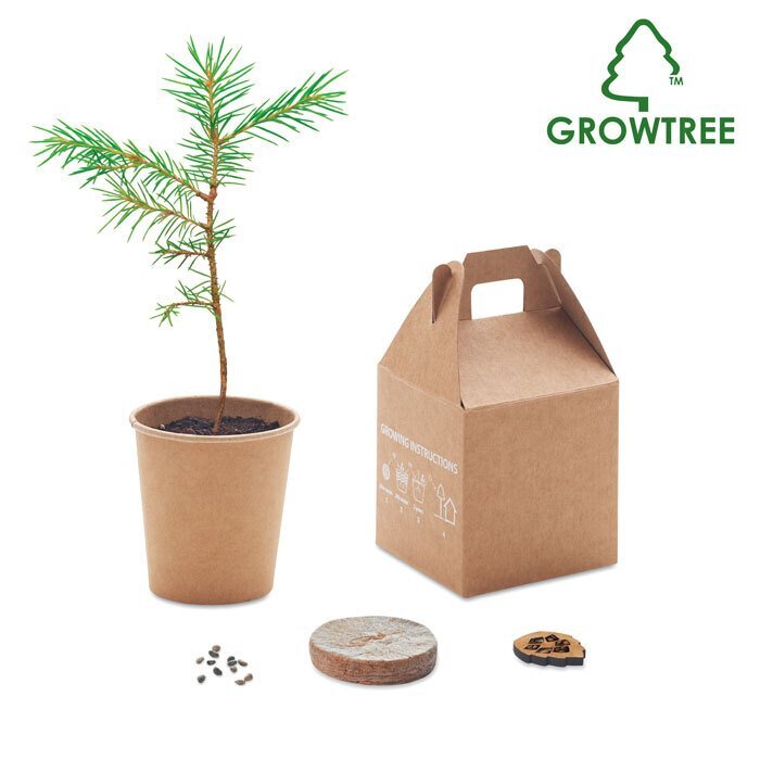 GROWTREE&trade;. Set in legno di pino - MO6228