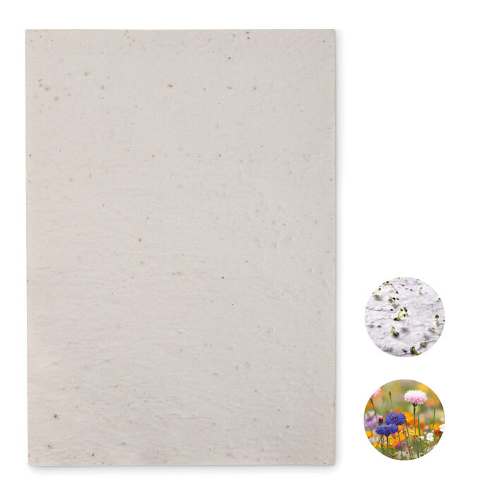 ASIDI. Foglio A4 in carta con semi - MO6914