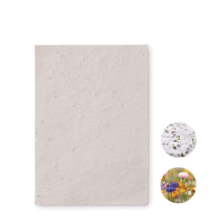 ASIDO. Foglio A6 in carta con semi - MO6916