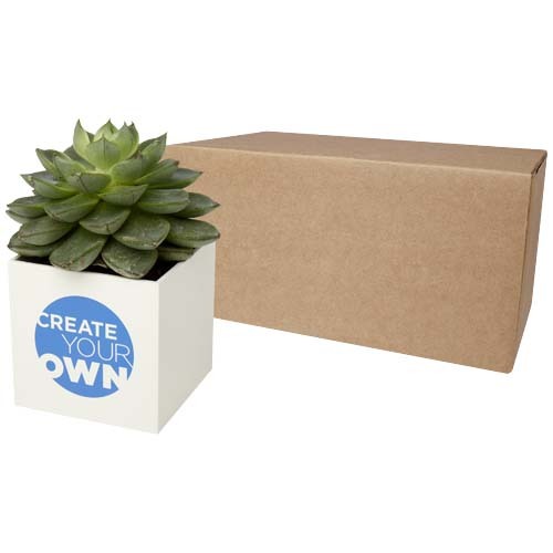 Vaso in alluminio con pianta grassa, succulenta Hey Pots - 1PY006